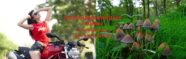гашиш Алексин