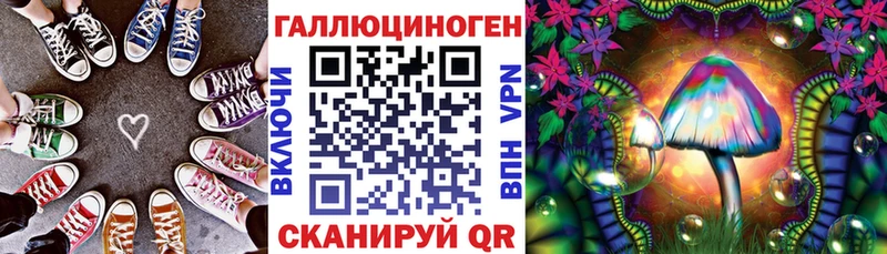 Псилоцибиновые грибы прущие грибы  мега как войти  Щёлкино 